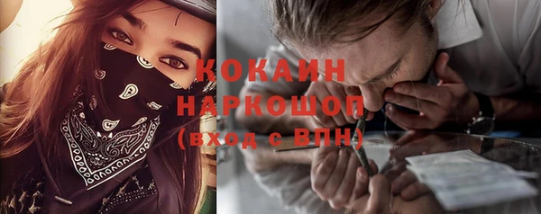 соль ск Новозыбков