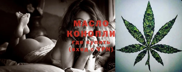 соль ск Новозыбков