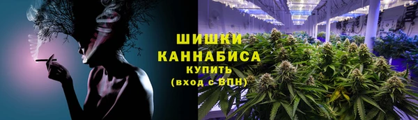 соль ск Новозыбков