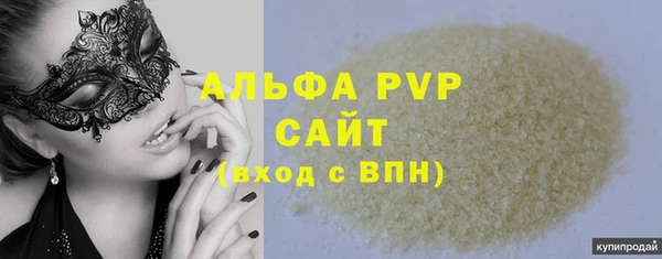 ECSTASY Богородицк