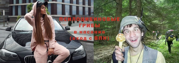 каннабис Новодвинск