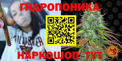 шишки Гусь-Хрустальный