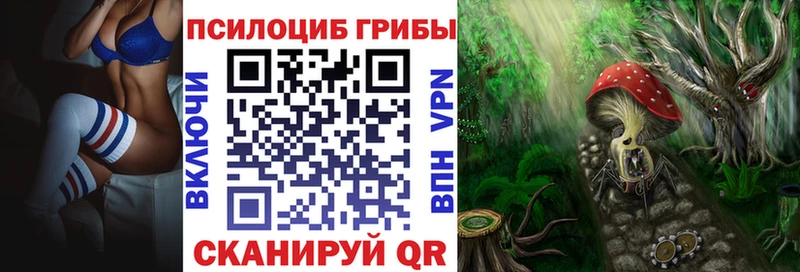 Галлюциногенные грибы мицелий где купить наркоту Калуга