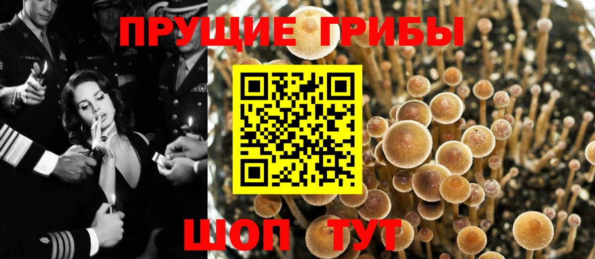 Калуга  Псилоцибиновые грибы MAGIC MUSHROOMS  Вход с VPN 
