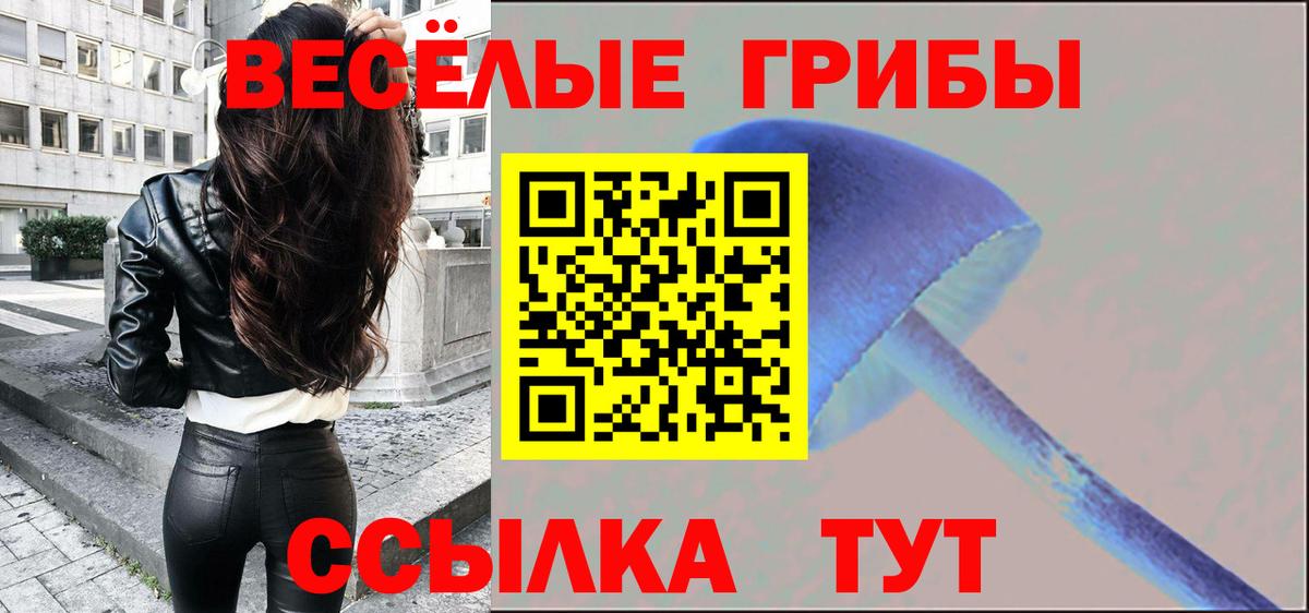 Псилоцибиновые грибы Psilocybine cubensis Калуга